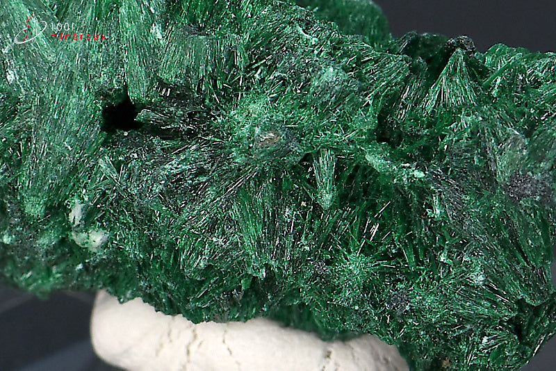 Malachite soyeuse verte cristallisée du Zaïre ou République démocratique du Congo sur socle