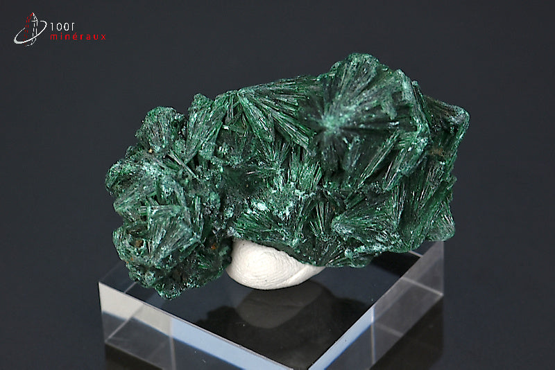 Malachite soyeuse verte cristallisée du Zaïre ou République démocratique du Congo sur socle