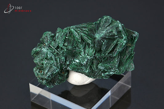 Malachite soyeuse verte cristallisée du Zaïre ou République démocratique du Congo sur socle