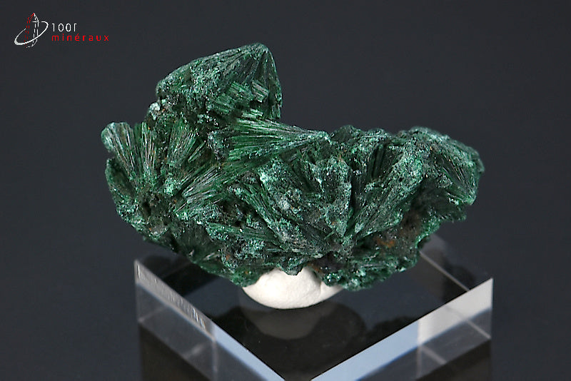 Malachite soyeuse verte cristallisée du Zaïre ou République démocratique du Congo sur socle