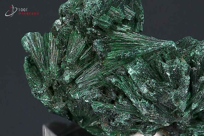 Malachite soyeuse du Zaïre - Détail des fibres nacrées en éventails - 28 g
