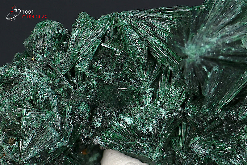 Malachite soyeuse verte cristallisée du Zaïre ou République démocratique du Congo sur socle
