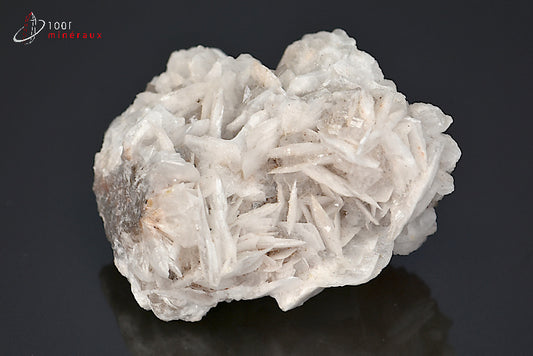 Minéral cristallisé de Baryte blanche et cristal de roche du Maroc