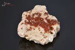 Vanadinite - Maroc - minéraux à cristaux 5,5 cm / 80g / AX807 - Vignette | 1001 minéraux