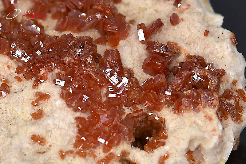 Minéral cristallisé de vanadinite rouge du Maroc