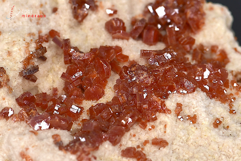 Minéral cristallisé de vanadinite rouge du Maroc