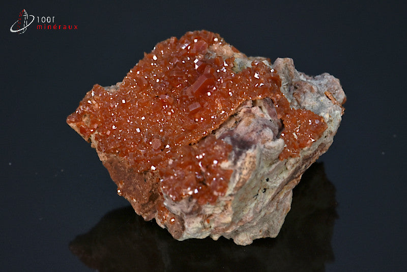 Minéral cristallisé de vanadinite rouge du Maroc