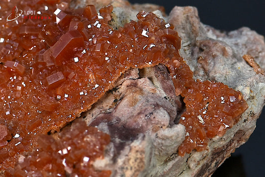 Minéral cristallisé de vanadinite rouge du Maroc
