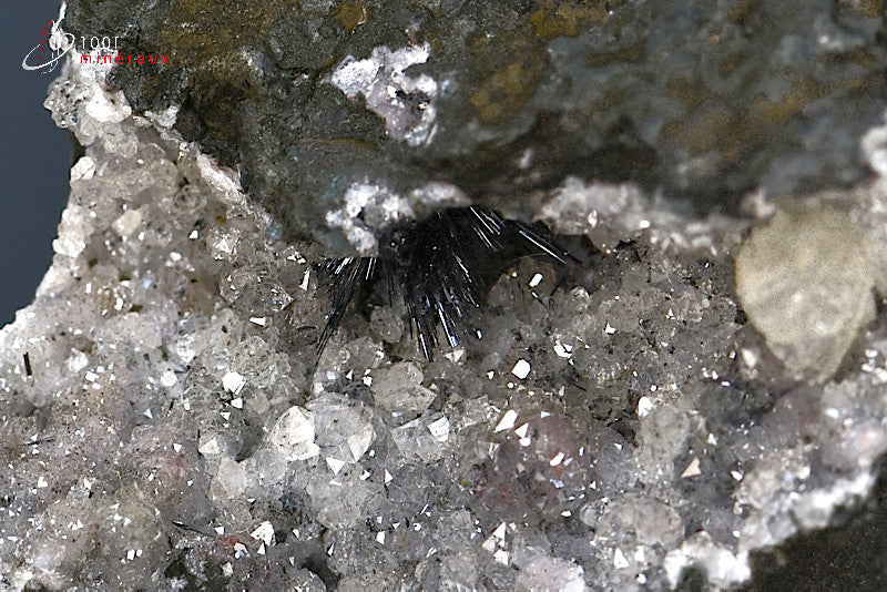 Minéral cristallisé de pyrolusite polianite du Maroc