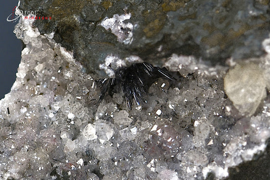 Minéral cristallisé de pyrolusite polianite du Maroc