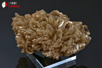 Baryte lamellaire - Maroc - minéraux à cristaux 6,4 cm / 106g / AX886 - Vignette | 1001 minéraux