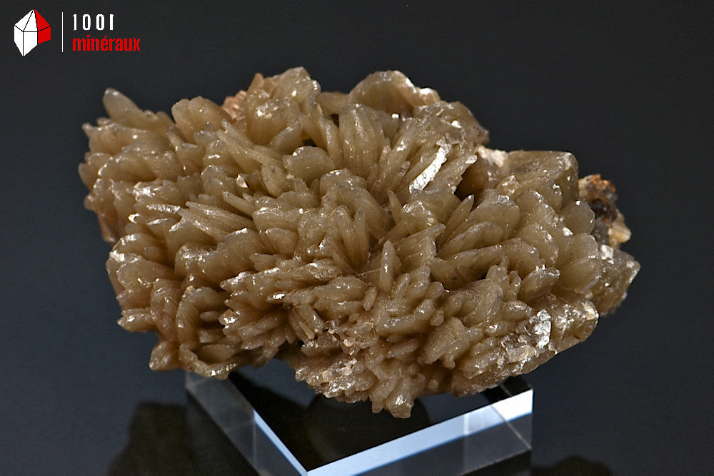 Minéral cristallisé de Baryte dorée du Maroc