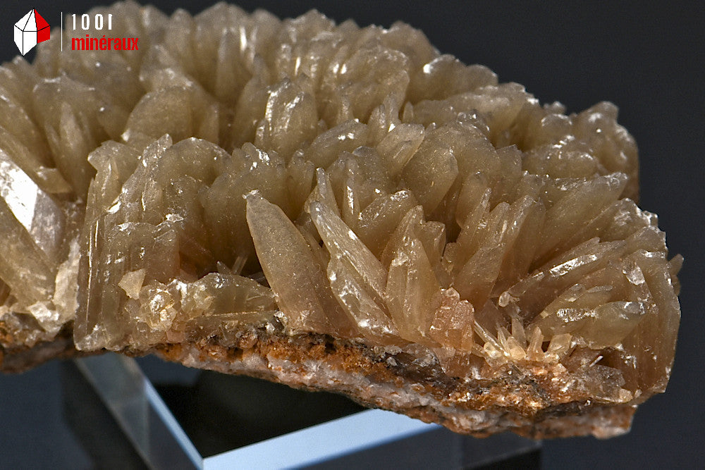 Minéral cristallisé de Baryte dorée du Maroc