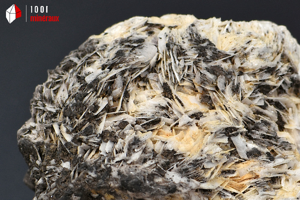 Minéral cristallisé de fluorine ou fluorite cubique violette sur baryte blanche du Maroc