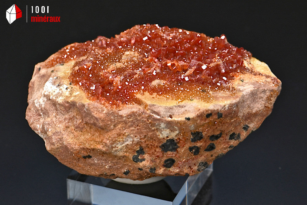 Minéral cristallisé de vanadinite du Maroc