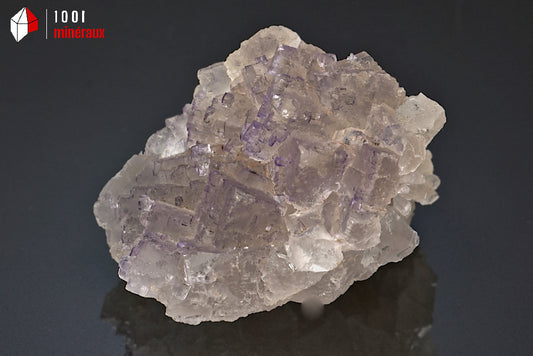 Minéral de fluorine violette translucide avec des cristaux cubiques du Mexique