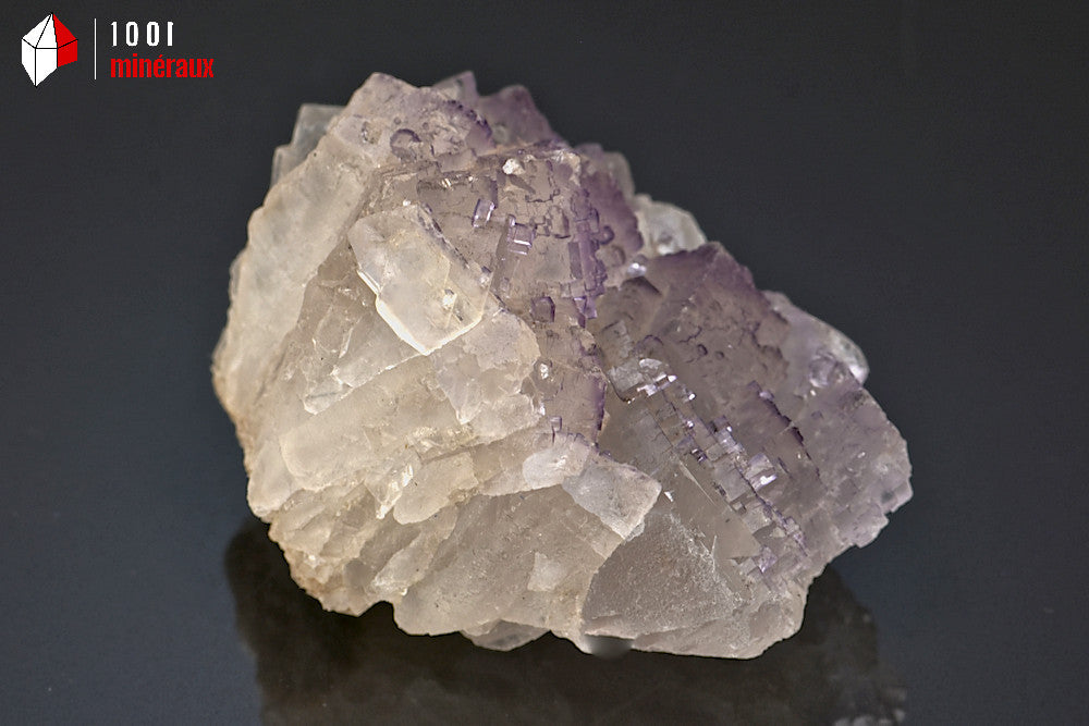 Minéral de fluorine violette translucide avec des cristaux cubiques du Mexique