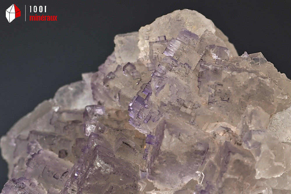 Minéral de fluorine violette translucide avec des cristaux cubiques du Mexique