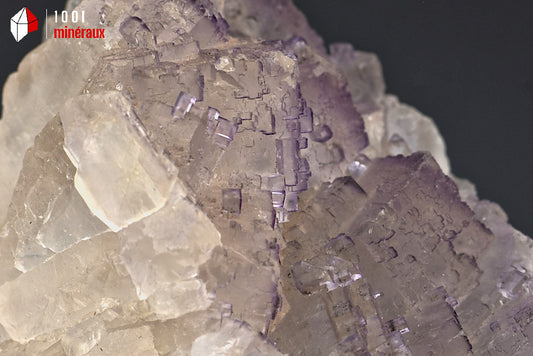 Minéral de fluorine violette translucide avec des cristaux cubiques du Mexique