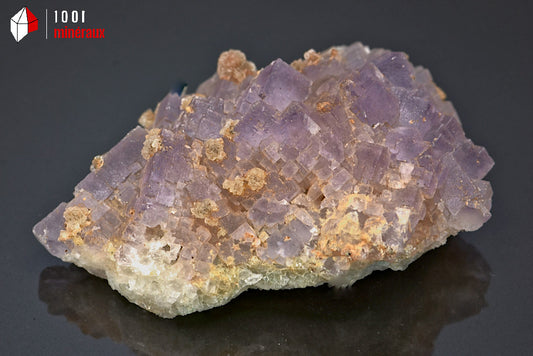 Minéral de fluorine violette translucide avec des cristaux cubiques de Berbes en Espagne