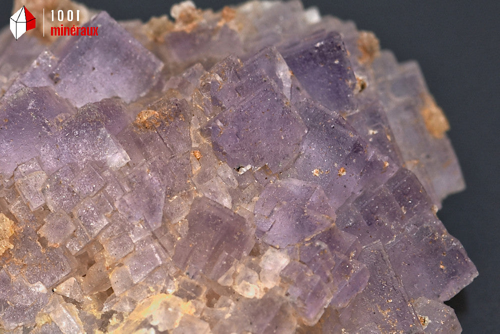 Minéral de fluorine violette translucide avec des cristaux cubiques de Berbes en Espagne