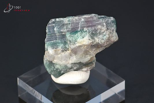 Minéral cristallisé de tourmaline Paraïba du Brésil