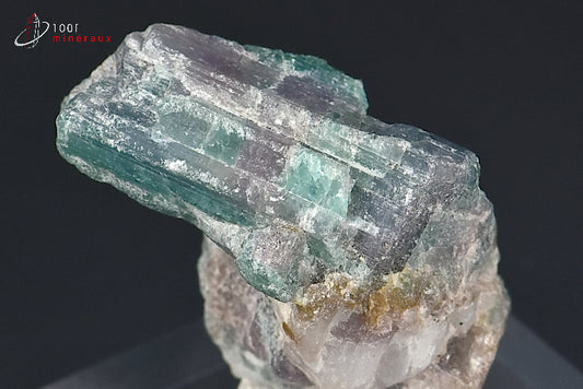 Minéral cristallisé de tourmaline Paraïba du Brésil