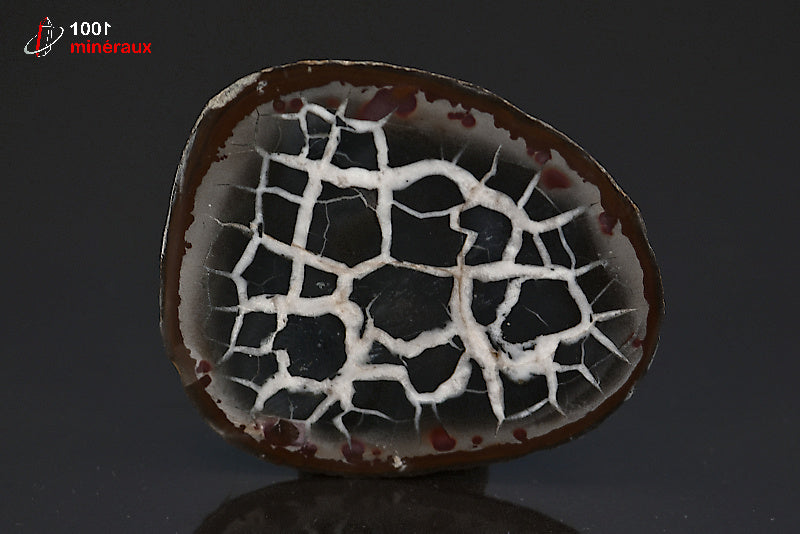 Minéral scié poli de septaria du Maroc