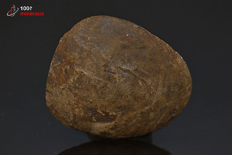 Minéral scié poli de septaria du Maroc