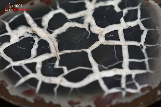 Minéral scié poli de septaria du Maroc