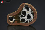 Septaria sciée polie - Maroc - minéraux bruts 6,4 cm / 54g / AX943 - Vignette | 1001 minéraux