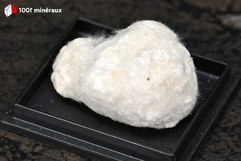 Okénite d'Inde - Agrégat cotonneux de 6 g, vue d'ensemble - AY857