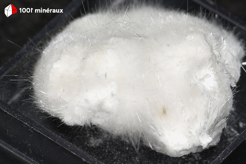 Okénite d'Inde - Détail des fibres cotonneuses - AY859