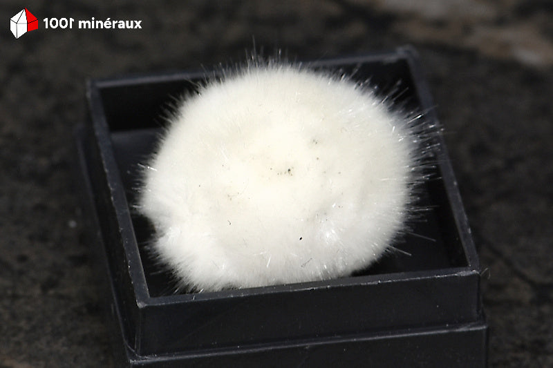 Okénite d'Inde - Vue d'ensemble, fibres blanches soyeuses - 1 g