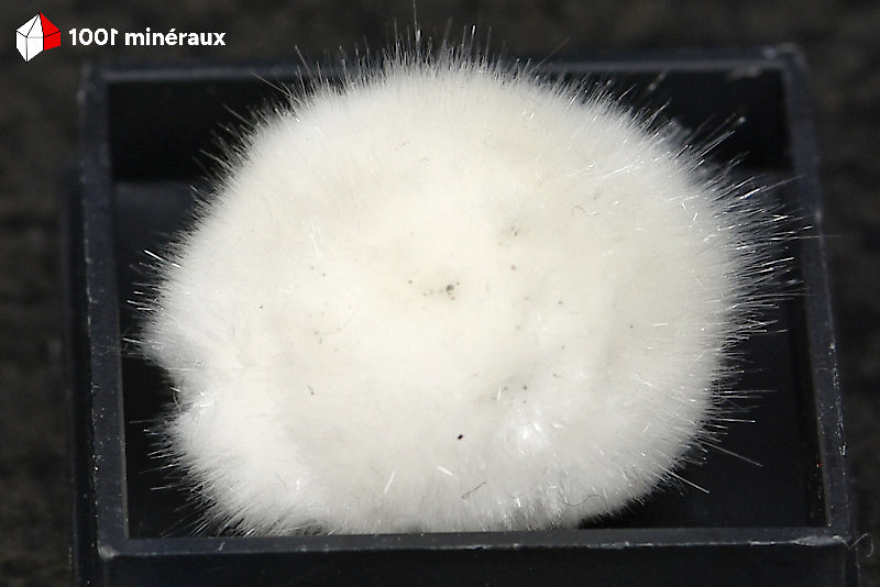 Okénite d'Inde - Détail des fibres cotonneuses - AY861