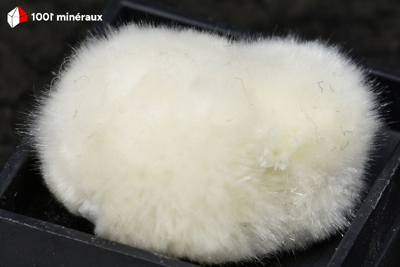 Okénite d'Inde - Détail des fibres cotonneuses - AY863