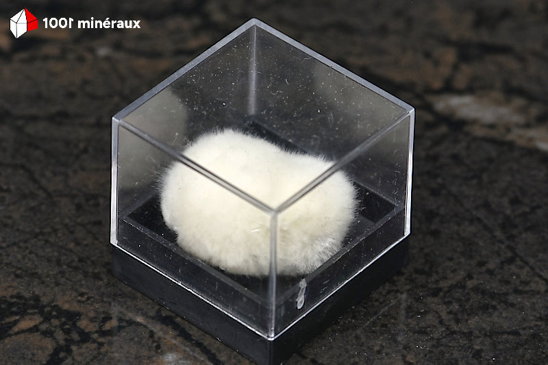 Okénite d'Inde - Agrégat cotonneux dans son boîtier transparent - 2 g