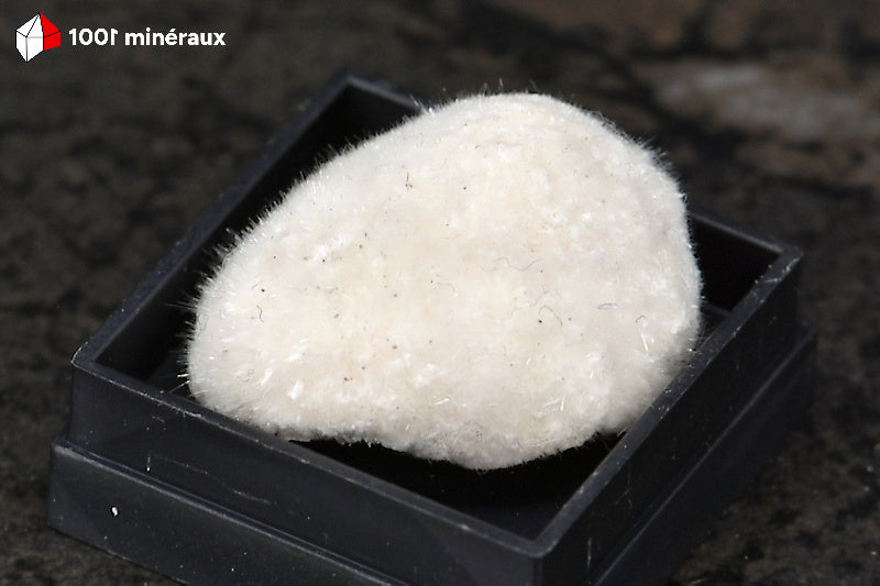 Okénite d'Inde - Vue d'ensemble, fibres blanches soyeuses - 3 g