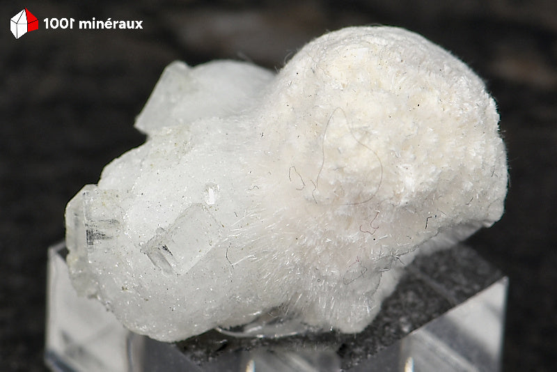 Okénite et Apophyllite d'Inde - Détail des cristaux d'Apophyllite - AY865