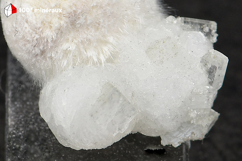 Okénite et Apophyllite d'Inde - Détail de l'agrégat cotonneux d'Okénite - 6 g