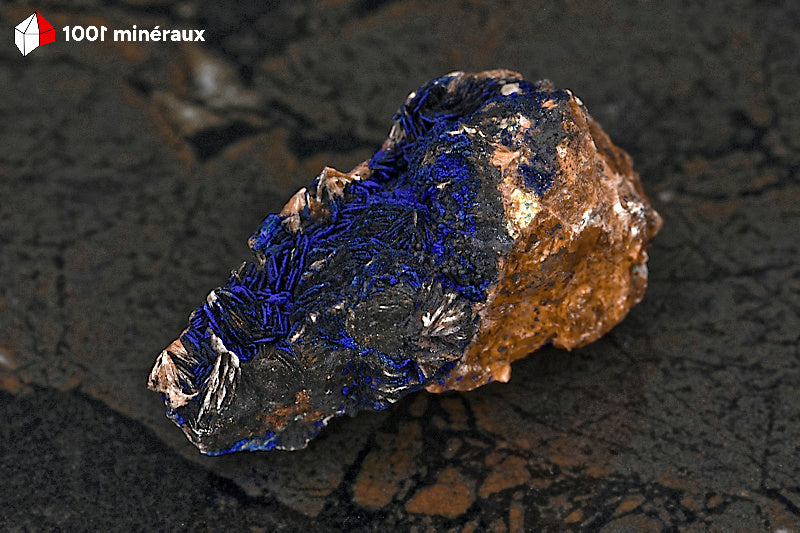 Azurite du Maroc - Cristallisation botryoïdale sur Barytine de 129 g - AY884