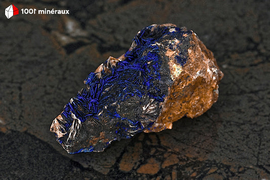 Azurite du Maroc - Cristallisation botryoïdale sur Barytine de 129 g - AY884