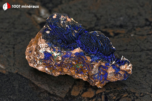 Azurite du Maroc - Botryoïdale 6,7 x 3,4 x 3,6 cm - AY884