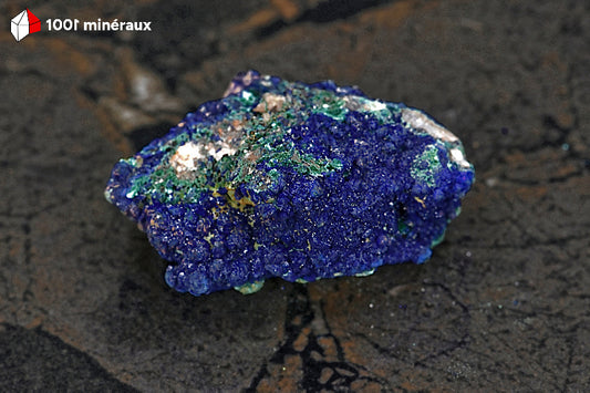 Azurite du Maroc - Cristallisation botryoïdale sur roche de 79 g - AY885