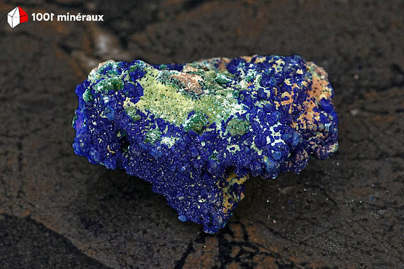 Azurite du Maroc - Botryoïdale 5,9 x 4,4 x 2,7 cm - AY885