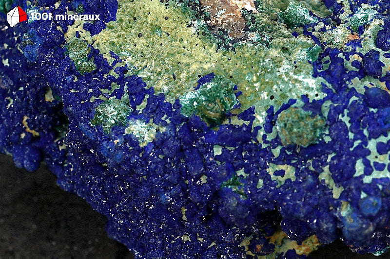 Azurite du Maroc - Détail des globules bleu foncé et Malachite soyeuse chatoyante - 79 g