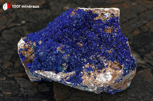 Azurite du Maroc - Cristallisation botryoïdale sur Quartz de 239 g - AY905