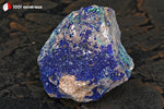 Azurite du Maroc (botryoïdale sur Quartz) - 239 g / AY905 - Vignette | 1001 minéraux