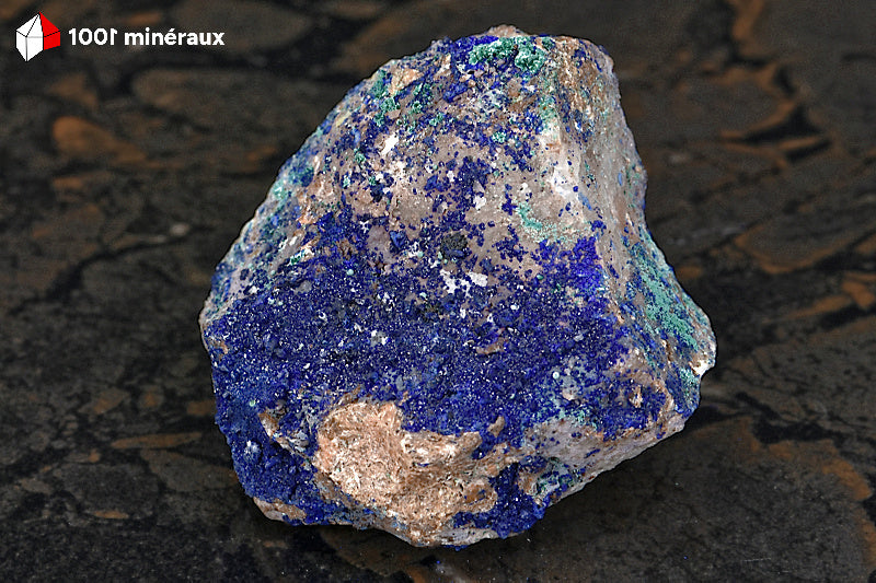 Azurite du Maroc - Vue de profil, botryoïdale sur gangue de Quartz - AY905