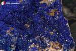Azurite du Maroc (botryoïdale sur Quartz) - 239 g / AY905 - Vignette | 1001 minéraux
